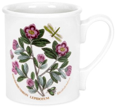 Portmeirion Botanic Garden - Breakfast Mug - Rhododendron