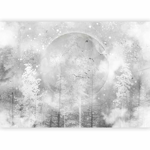 murando - Papier peint panoramique paysage 350x256 cm - Revêtement mural décoration chambre salon - Design moderne - Gris - Lune nuit hiver forêt brouillard oiseaux pleine lune gris c-C-10000-a-a
