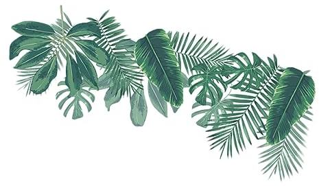 OSALADI 3D-Aufkleber 1stk Wandtattoo Blatt Wandbilder Aufkleber Kinder Pvc Anlage 3d Urwald Entfernbare Wandaufkleber