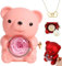 Ashopfun Engraved Heart Necklace with Real Rose Bear Giftbox,Preserved Rose Hug Bear Gifts for Women with Heart Necklace,for Woman Christmas Valentines Day Birthday (Pink)
