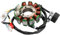 MAD HORNETS Stator Lichtmaschine fit für SYM Joyride HD 125 150 200 EVO - 11-polig, steckerfertig