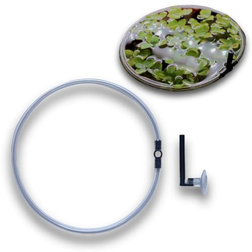 Schwimmring mit Saugnapf Befestigung SChwimmpflanzen Abgrezung Futterring Aquarium (20cm)
