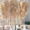 JADOGAR 18 Stück 100 cm Fluffy Pampasgras – Natural Trockenblumen lang, Pampasgras Groß Deko, XXL Deko Pflanze, ideal für Küche, Zuhause und Partydekorationen