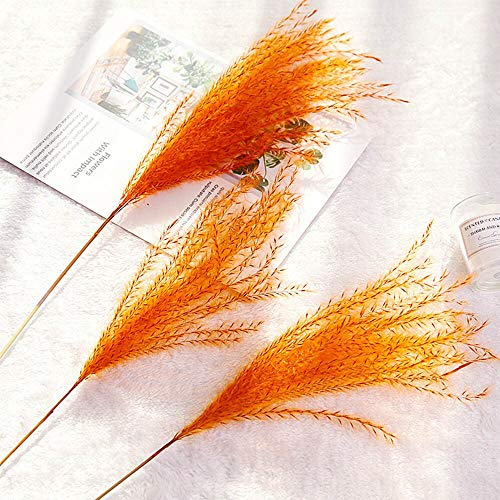 YIWOYI 30 Stück getrocknetes Pampasgras, natürliche getrocknete Blumenstrauß mit Schilfrohrblüten, kleines Pampasgras, für Hochzeit, Trockenblumenstrauß (Orange, 30 Stück)