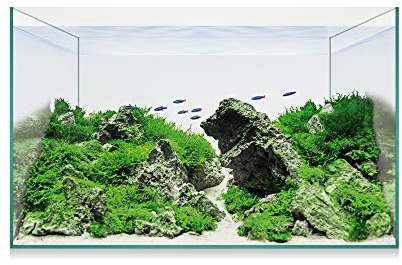 ICA Aquascape Basic 14, 12,7 Liter, Glas, Rechteckig, Fisch, Aquarium