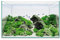 ICA Aquascape Basic 14, 12,7 Liter, Glas, Rechteckig, Fisch, Aquarium