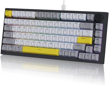AJAZZ AK820 Kabelgebundene Mechanische Tastatur, Gaming-Tastatur, Südausrichtung RGB|Lautstärkeregler|82 Tasten|PBT-Tastenkappen|Poron Cotton|Hot-Swap-Fähiger, Custom Drivers für Windows MacOS Linux