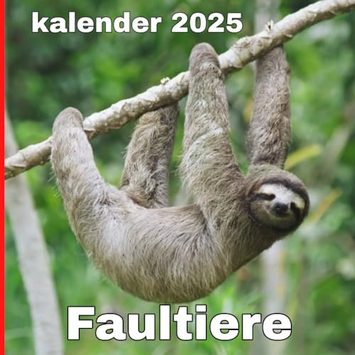 Faultiere kalender 2025