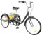 Faltrad 24 Zoll Dreirad für Erwachsene, 8-Gang-Dreirad, 3-Rad-Fahrrad mit klappbarem Korb, Fahrrad für Outdoor-Sporteinkäufe (Schwarz)
