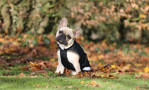 Bucas Freedom Dog Rug Hundemantel 150g Black/Taupe, Größe:35cm