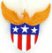 Hallmark American Pride Weihnachtsbaumschmuck