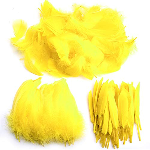 Pveath Federn zum Basteln, 250 Stück, farbige Federn, auffallende Federn zum Basteln, Traumfänger, natürliche Handwerksfedern für Hochzeit, Party, Dekorationen (3 Größen)