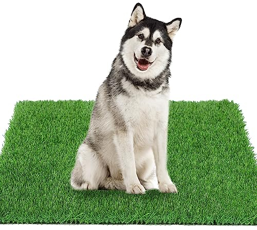 GLOBREEN Hunde-Kunstrasen, Urinierunterlage, 130,3 x 80 cm, Größe XL, für Töpfchentraining, dicke und hohe Drainage, Haustier-Gras-Patch-Matte für drinnen und draußen