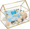 Homtone 25cm Glas Hochzeitskartenbox, Kupfer Handgefertigte goldene Terrarium Glasbox für Hochzeiten, Empfänge, Tischdekoration, Geschenk, Hochzeit Deko