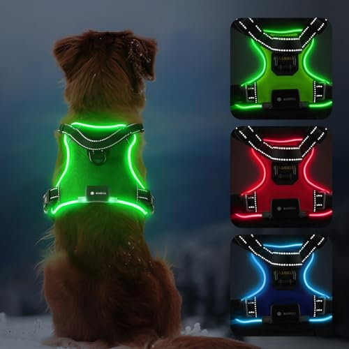 MASBRILL Leuchtgeschirr für Hunde Aufladbar, LED Brustgeschirr Verstellbar Reflektierend für Klein Mittelgroße Grosse Hund, Beleuchtetes Hundegeschirr (Grün, S)