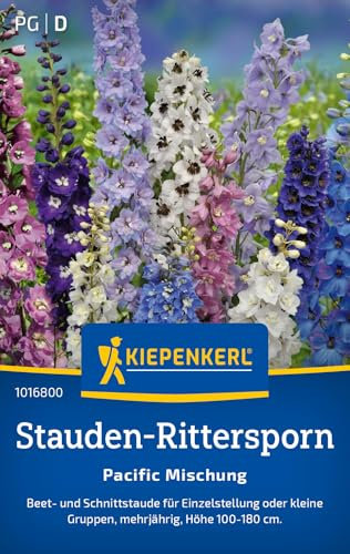 Kiepenkerl Stauden-Ritterspornsamen Pacific Mischung 1016800 - Mehrjährige Blumensamen mit einer Wuchshöhe von 100 bis 180cm und einem Inhalt für 40 Pflanzen - Saatgut