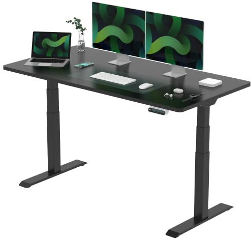 FLEXISPOT Höhenverstellbarer Schreibtisch Made IN EU Einteilige Tischplatte160x80 cm-mit 2 starken Motoren-Stabiler Schreibtisch Höhenverstellbar Elektrisch-Standing Desk mit Memory-Funktion(schwarz)