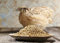 WachtelGlück® ECO - Wachtelfutter 25 Kg