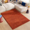 TAPISO Essence Teppich Hochflor Langflor Shaggy Ziegelrot Rechteckig Super Weich Felloptik Schlafzimmer Wohnzimmer ÖKO-TEX 240 x 330 cm
