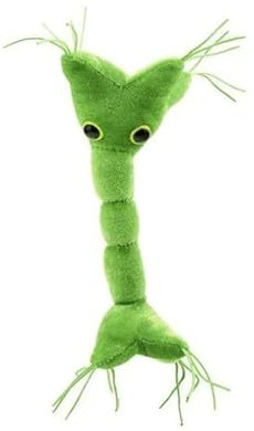 GIANTmicrobes Nervenzellen-Plüsch: Erfahren Sie mehr über Ihr Nervensystem mit diesem unvergesslichen Plüsch, einzigartiges und lehrreiches Geschenk für Wissenschaftler, Studenten, Neurologen und alle