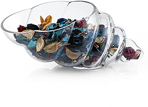 MDLUU Glass Shell Vase, 11-Inch Seashell Potpourri Holder, Large Decorative Conch Bowl for Shell Collection Display, Sea Glass, Air Plant