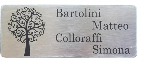 GUIZZO Creart - Targa Personalizzata con Nome, Via e/o Famiglia in Acciaio Inox, Targhetta Personalizzata Made in Italy, Targhetta Porta Ingresso Personalizzata Multiuso Modificabile, 10x4 H cm