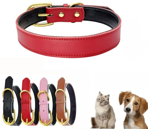 Hundehalsband aus Leder mit Airtag-Hülle, echtes Rindsleder, zweifarbig gepolstert, goldene Schnalle, langlebig, weiche Haustierhalsbänder, verstellbar für kleine, niedliche Katze, Rot S