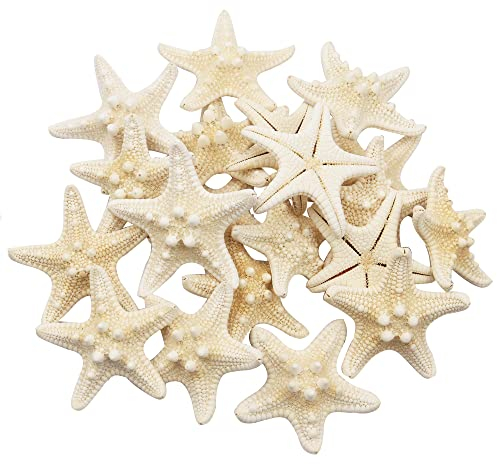 Yixuan 20pcs Natürliche Seesterne Klein Seestern Deko Seestern Basteln Bunte Seestern Muscheln perfekt für Hochzeit, Strand, Motto-Party, Heimdekoration, Basteln, Aquarium,Fischernetzdeko