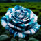 Bulbi Di Rosa Imperiale In Grandi Quantità - Perenni Resistenti - Rosa Rampicante Rifiorente Profumata-4 Bulbi-A