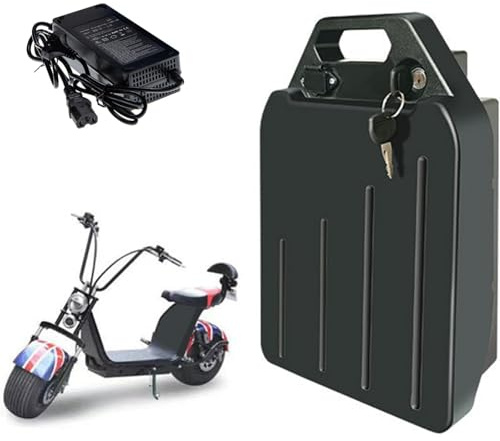 60V 20Ah 25Ah 30Ah Lithium-Ionen-Akku, 60V Elektroroller- Und Fahrradakku, Mit BMS Und Ladegerät, Für Motoren Von 200W Bis 1000W 60V,20Ah