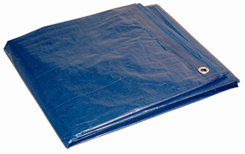 Dry Top 1620 Medium Duty Tarp, 16x20 Feet, Blue
