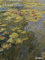 Monet - Kalender 2021 - Teneues-Verlag - Wandkalender - Kunstkalender mit impressionistischen Gemälden - 47,8 cm x 63,8