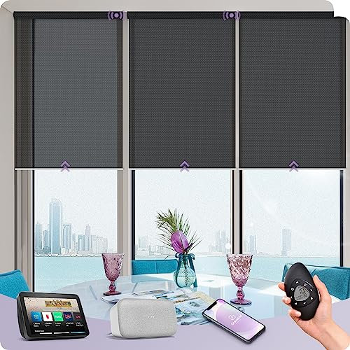 Graywind Customized Smart Solar Blinds, Fireproof Electric Roller Blinds Compatible With Alexa Google, Rechargeable Motorized Window Shades with Remote for Home Office Patio, 5% Openness Black