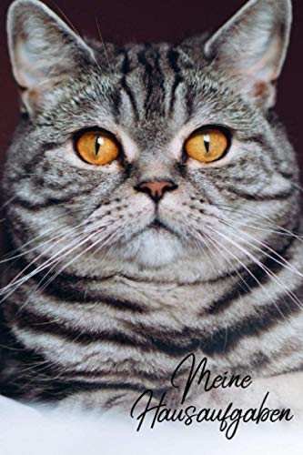 Meine Hausaufgaben: Katze Hausaufgabenheft für Schule Grundschule - Hausaufgabenheft mit Wochenübersicht, 2 Stundenplänen und Notenübersicht / DIN A5