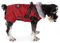 Dociote Hundemantel Hundejacke mit abnehmbarem Geschirr & Klettverschluss gefütterter & wasserdichter Wintermantel Winterjacke für kleine mittelgroße Hunde Rot 2XL