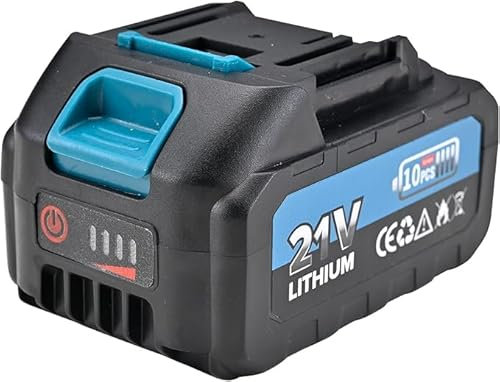 RINOXAR Batterie pour Coupe-Bordures à Batterie et souffleur à Batterie, Compatible avec E-Edge Pro, HURICANE X20