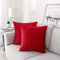 NiNi ALL Dekorative Kissenbezüge, 2 Stück, Samt-Kissenbezüge für Couchkissen, Bezug, Schlafzimmer, Wohnzimmer, Outdoor, Kissenbezüge, 40,6 x 40,6 cm, Rot