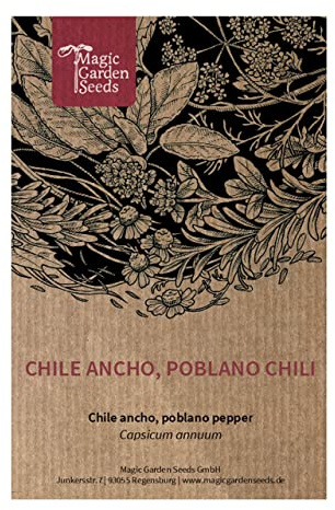 Chile Ancho/Poblano Chili (Capsicum annuum) - ca. 10 Samen