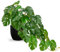 Hollyone Plantes artificielles en pots noirs, fausses plantes Monstera décoratives en pot, plante d'intérieur réaliste pour décoration d'intérieur, salle de bain, salon, cuisine, étagère, bureau