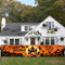 Happy Halloween Banner Groß Halloween Trick or Treat Yard Banner mit Schloss Kürbis Schläger Mond Hexe 83*16 Zoll Hängend Lang Hintergrund Schild Banner Dekor für Outdoor Indoor Halloween Dekorationen