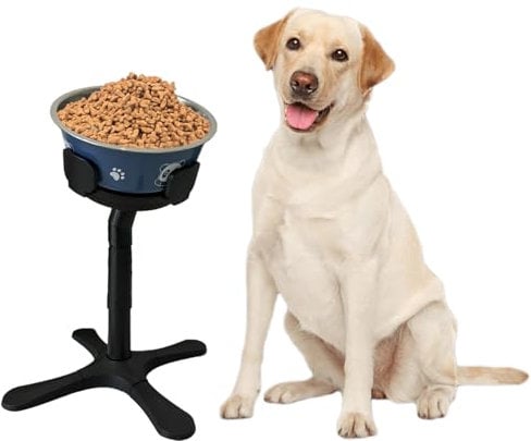 Support de gamelle surélevée pour chien, réglable et antidérapant, grande mangeoire avec gamelles en acier inoxydable pour chiens de grande taille