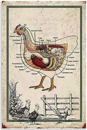 Vintage Metallschild Poster Huhn Anatomie Retro Metall Blechschild Wanddekor Geschenk für Badezimmer Theater Bauernhof Schlafzimmer Cafe Restaurant 20,3 x 30,5 cm