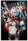 SORECI Harley Quinn Poster auf Leinwand, Schlafzimmer-Dekor, Sportlandschaft, Büro, Raumdekoration, Geschenk, ungerahmt, 30 x 45 cm