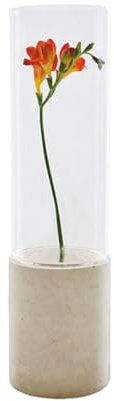 GODELMANN Vase aus hochwertigem Beton - handgefertigt Ø 6cm x Höhe 25cm in Sand I Blumenvase mit passgenauem Glas - mineralimprägniert - Made in Germany