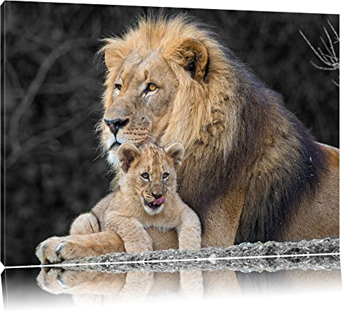 Pixxprint prächtiger Löwe kuschelt mit kleinem Jungtier B&W, Größe: 80x60cm, Leinwandbild, fertig gespannt, Wandbild, Dekoration, Kunstdruck, kein Poster