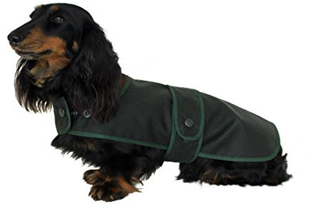 Cosipet Dackel-Jägermantel, 48 cm, Grün