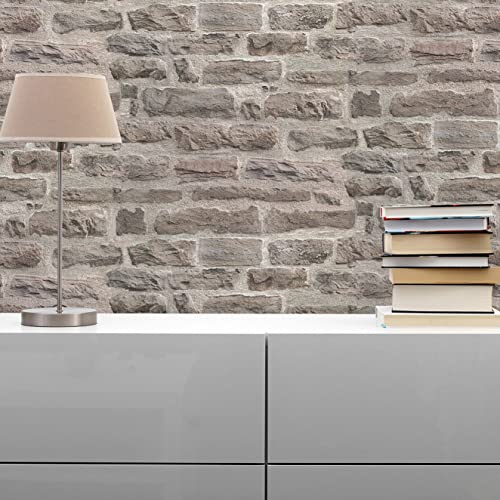 TADESSI Tapete Steinoptik Dino M1-No.54 Vliestapete Grau Braun Steintapete Steinwand Modern Wohnzimmer Schlafzimmer