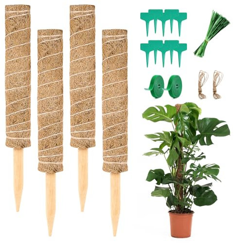 Vicloon Tuteur Plante, 4pcs Tuteur Monstera, 40cm Tuteurs Coco, Support Plante Grimpante Pliable pour Plantes Monstera Extension Maison Jardin de Support de Plantes