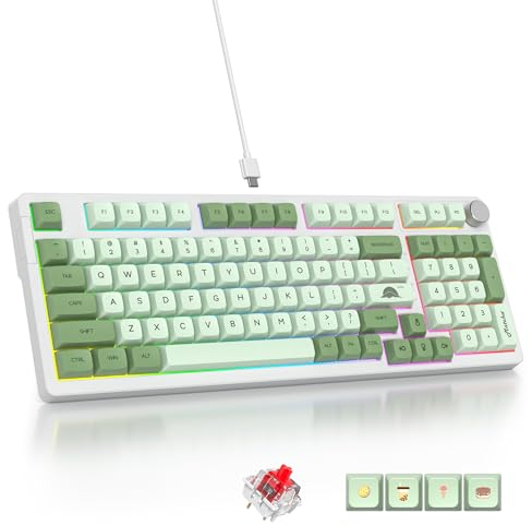 SOLIDEE Verkabelte 95% Mechanische Gaming-Tastatur,Hot-Swap-Fähige Mechanische Tastatur,Gasket Struktur RGB Hintergrundbeleuchtung,98 Tasten Mechanische Tastatur mit Drehknopf,NKRO-Tastatur(98 Matcha)