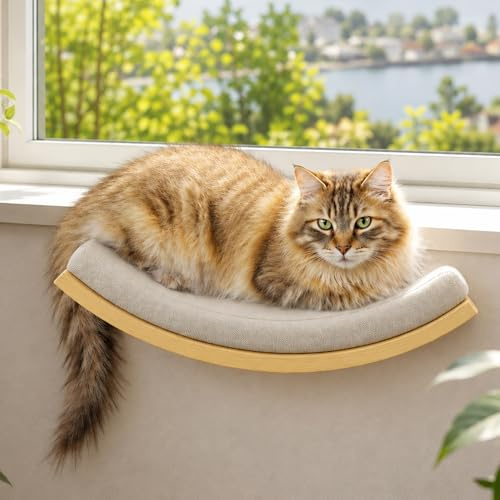 PELUOMOZ Katzen Wandliege, Gebogene Holzplattform mit Schaumstoffmatte | Gebogene Katzen Liegefläche, weiche Schaumstoffmatte, stabile Holzkonstruktion, Wandmontage, bequemes Ruhen